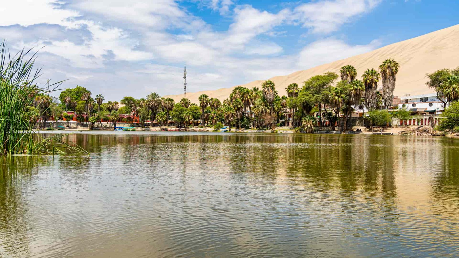 Palmeras y vegetación reflejadas en la laguna de la Huacachina.