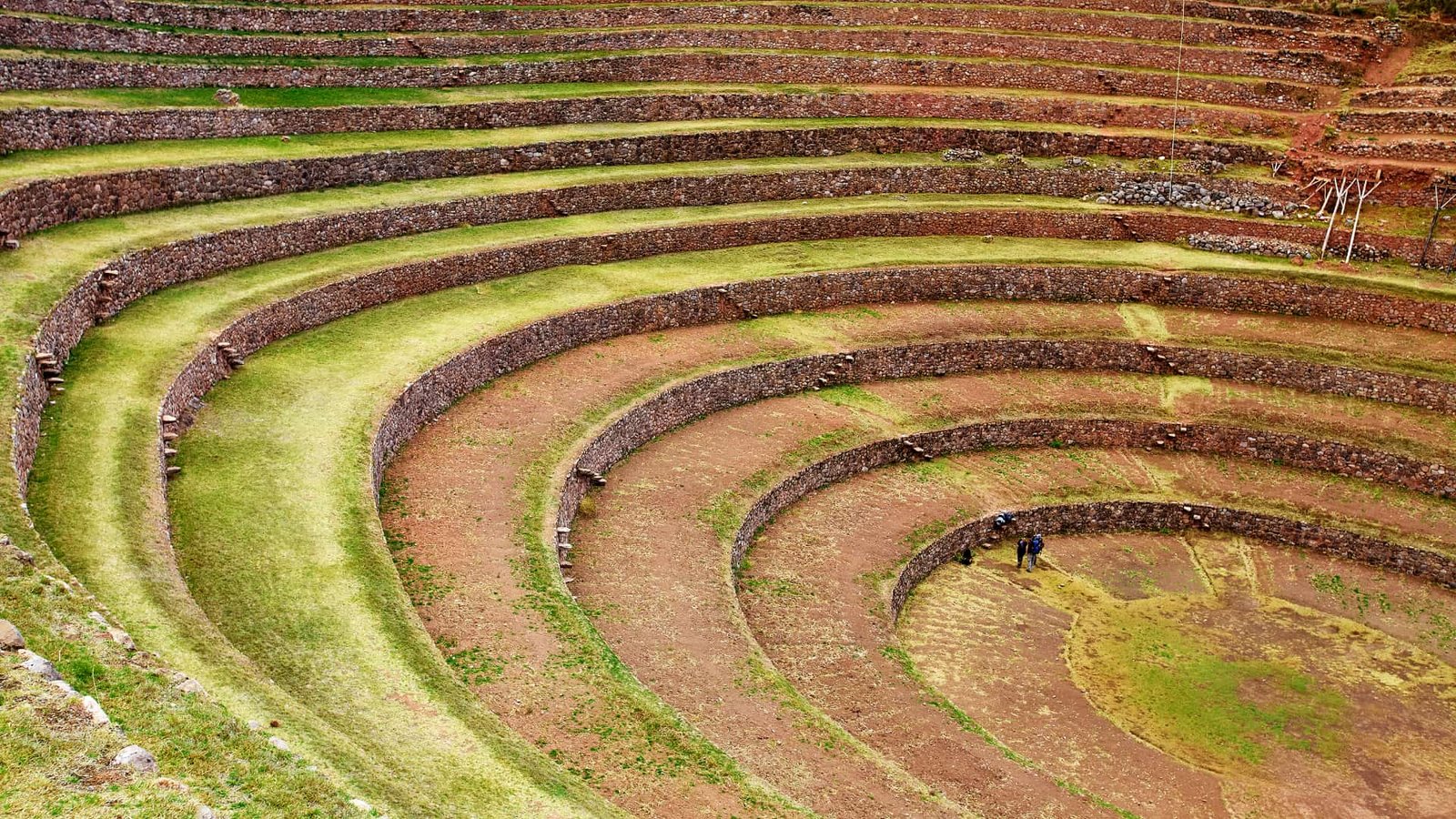 Terrazas circulares concéntricas de piedra que forman un anfiteatro natural en el Valle Sagrado.