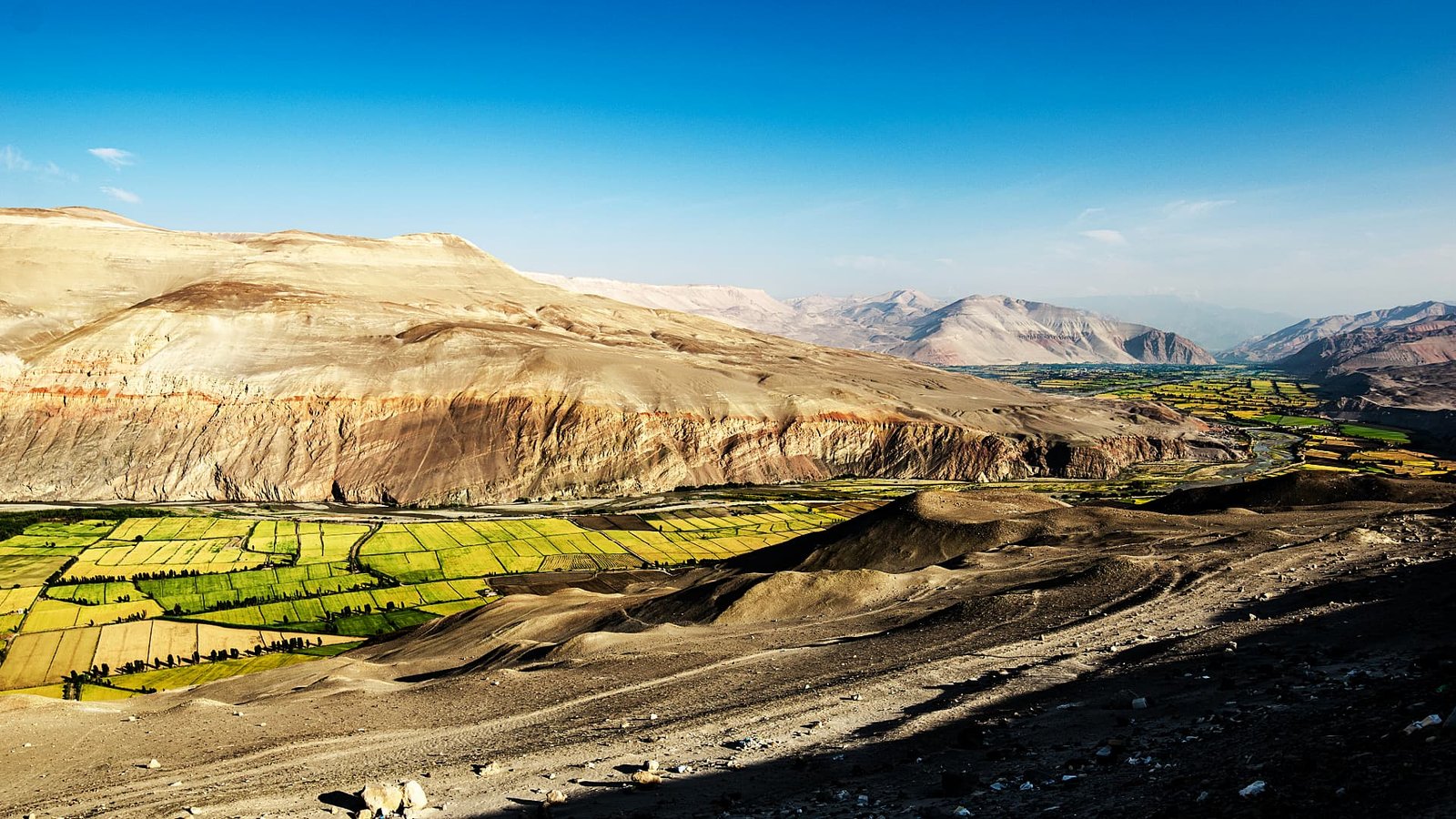 Cordillera de los Andes con picos nevados y un valle extenso bajo un cielo azul vibrante.