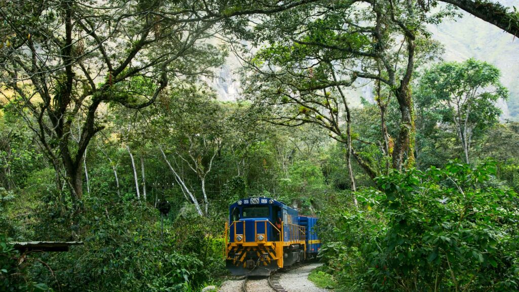 Tren azul y amarillo transitando por una vía férrea rodeada de árboles y bosque nuboso.