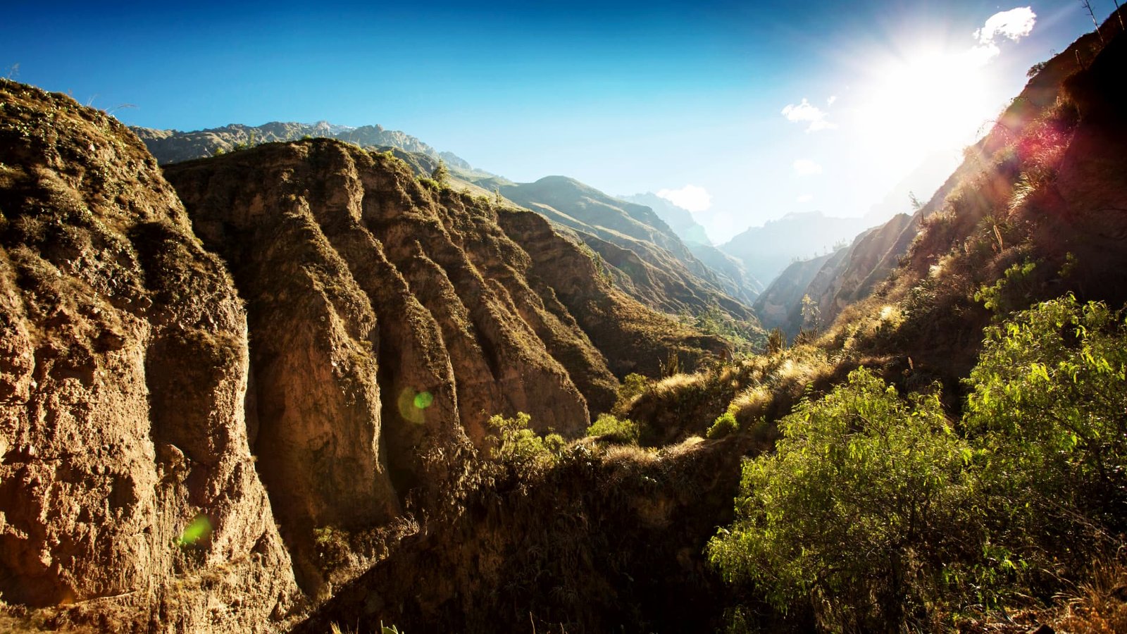 Detalle de las paredes verticales y rocosas del cañón mostrando la erosión y estratos de la montaña.